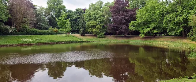 Pond and trees in the Stadspark, Antwerp